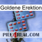 Golden Erection 05